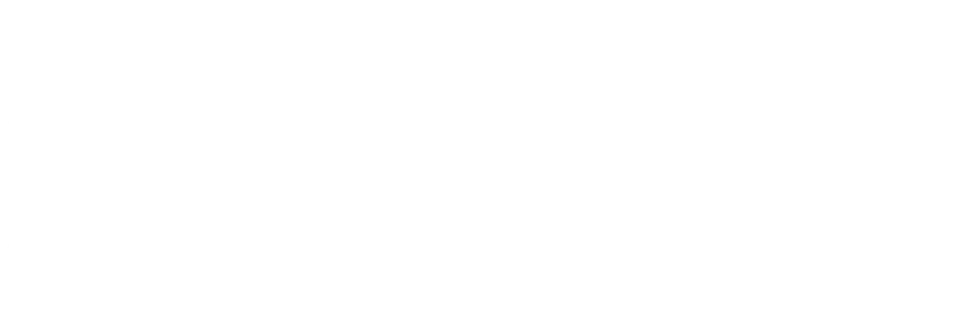 SPEEDO ANGELS
