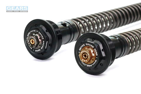 KAWASAKI NINJA ZX-25R (20~)/ZX-4R (23~)/ZX-4RR (23~) Front Fork Cartridge Inverted-Forks ( FFC-250-TT )