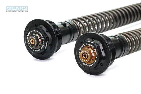 APRILIA TUONO 660 (21~) Front Fork Cartridge Inverted-Forks ( FFC-250-TT )