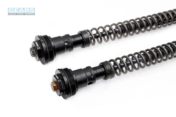 CFMOTO 450SR (23~)/450SR S (24~) Front Fork Cartridge Inverted-Forks ( FFC-250-TT ) - Wadamart