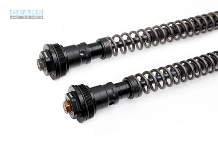 CFMOTO 450SR (23~)/450SR S (24~) Front Fork Cartridge Inverted-Forks ( FFC-250-TT ) - Wadamart