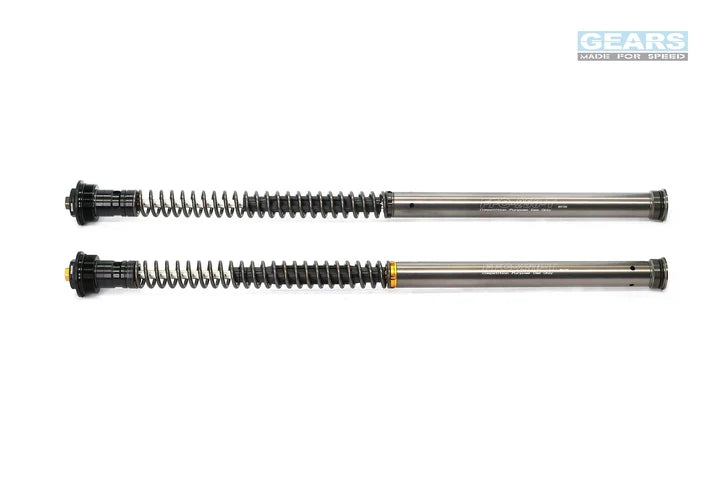 KAWASAKI Z1000 (14~16) Front Fork Cartridge Inverted-Forks ( FFC-250-TT ) - Wadamart