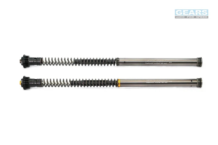 DUCATI Monster 821 (13~) Front Fork Cartridge Inverted-Forks ( FFC-250-TT ) - Wadamart
