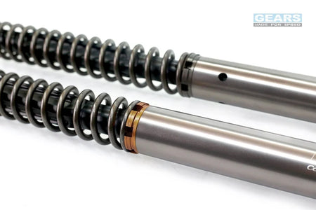 SUZUKI V-STROM 250SX (23~) Front Fork Cartridge Conventional-Forks ( FFC-250-T ) - Wadamart