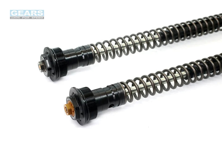 SUZUKI V-STROM 250SX (23~) Front Fork Cartridge Conventional-Forks ( FFC-250-T ) - Wadamart