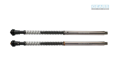 SUZUKI V-STROM 250SX (23~) Front Fork Cartridge Conventional-Forks ( FFC-250-T ) - Wadamart
