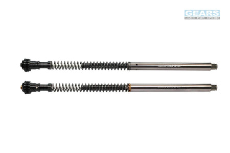 KAWASAKI NINJA 1000 SX (15~) Front Fork Cartridge Inverted-Forks ( FFC-250-T ) - Wadamart