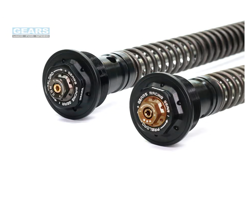 TRIUMPH Bonneville T120 (~19) Front Fork Cartridge Conventional-Forks ( FFC-250-T )